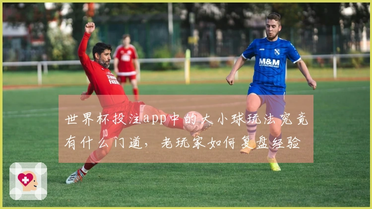 世界杯投注app中的大小球玩法究竟有什么门道，老玩家如何复盘经验？