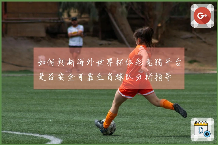 如何判断海外世界杯体彩竞猜平台是否安全可靠生肖球队分析指导