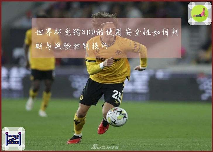 世界杯竞猜app的使用安全性如何判断与风险控制技巧