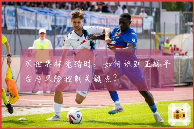 买世界杯竞猜时，如何识别正规平台与风险控制关键点？