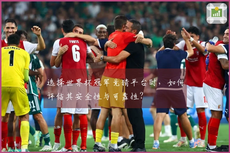 选择世界杯冠军竞猜平台时，如何评估其安全性与可靠性？