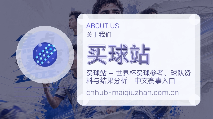 买球站服务范围介绍